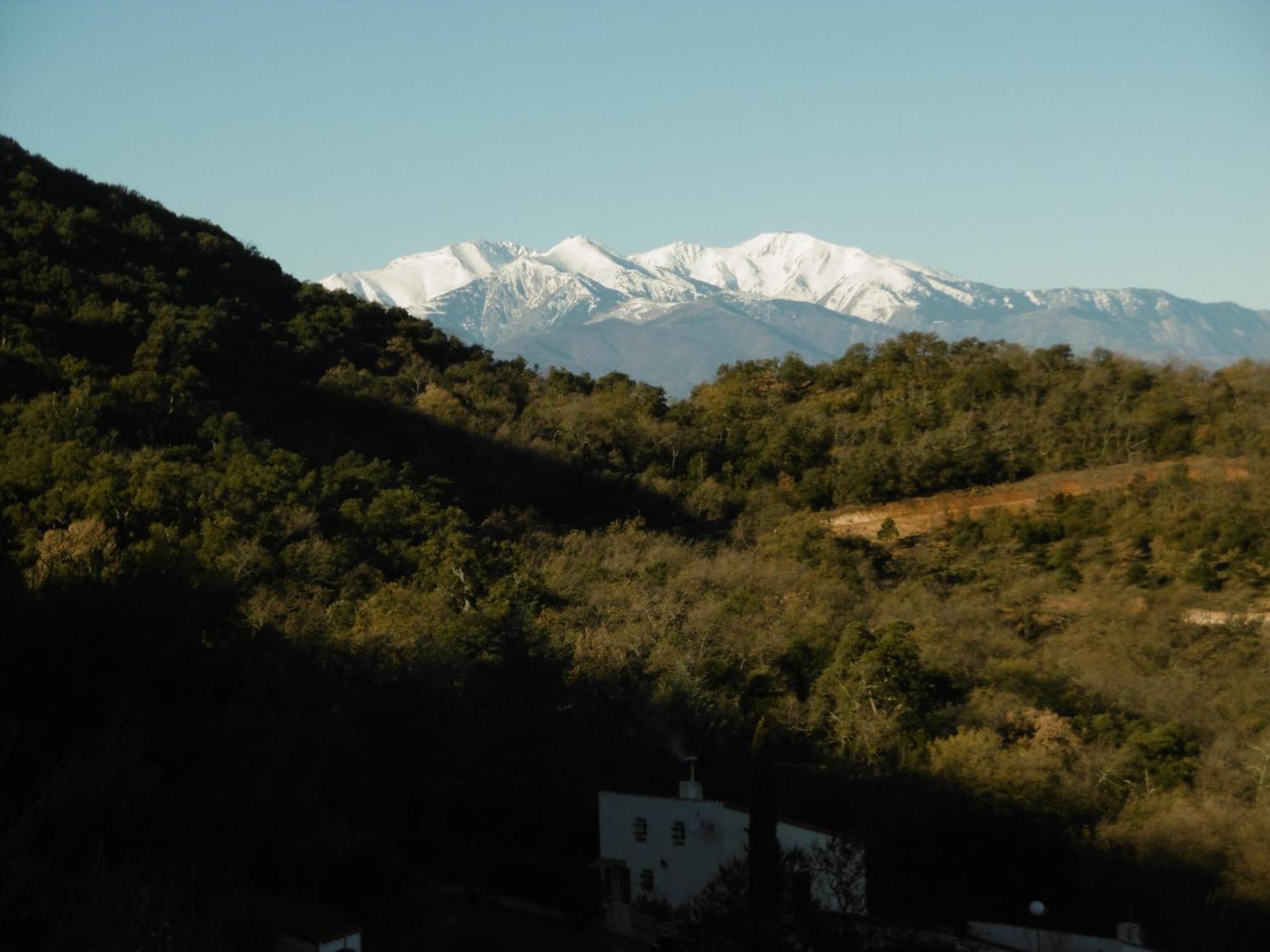 O Petit Bonheur Villa Laroque-des-Albères Exteriör bild